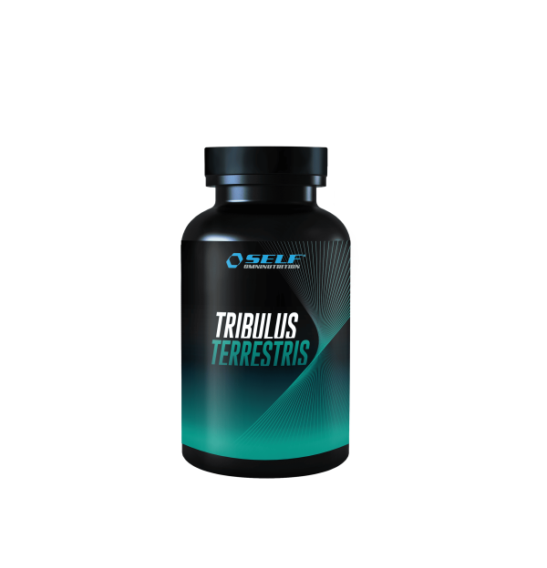 tribulus-terrestris-100 tabletter